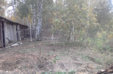 IMG-20180919-WA0001