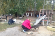 IMG-20180919-WA0004