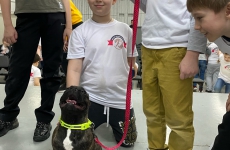 181-K9IefngZsMY