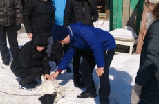 6 "в" класс, МКОУ "Гимназия №9
