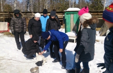 6 "в" класс, МКОУ "Гимназия №9
