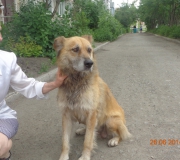photo_1492263529