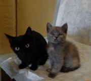 photo_1492263620