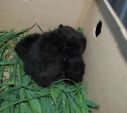 photo_1492263624