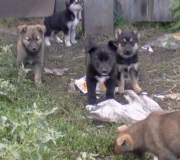 photo_1492263784