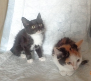 photo_1492263822