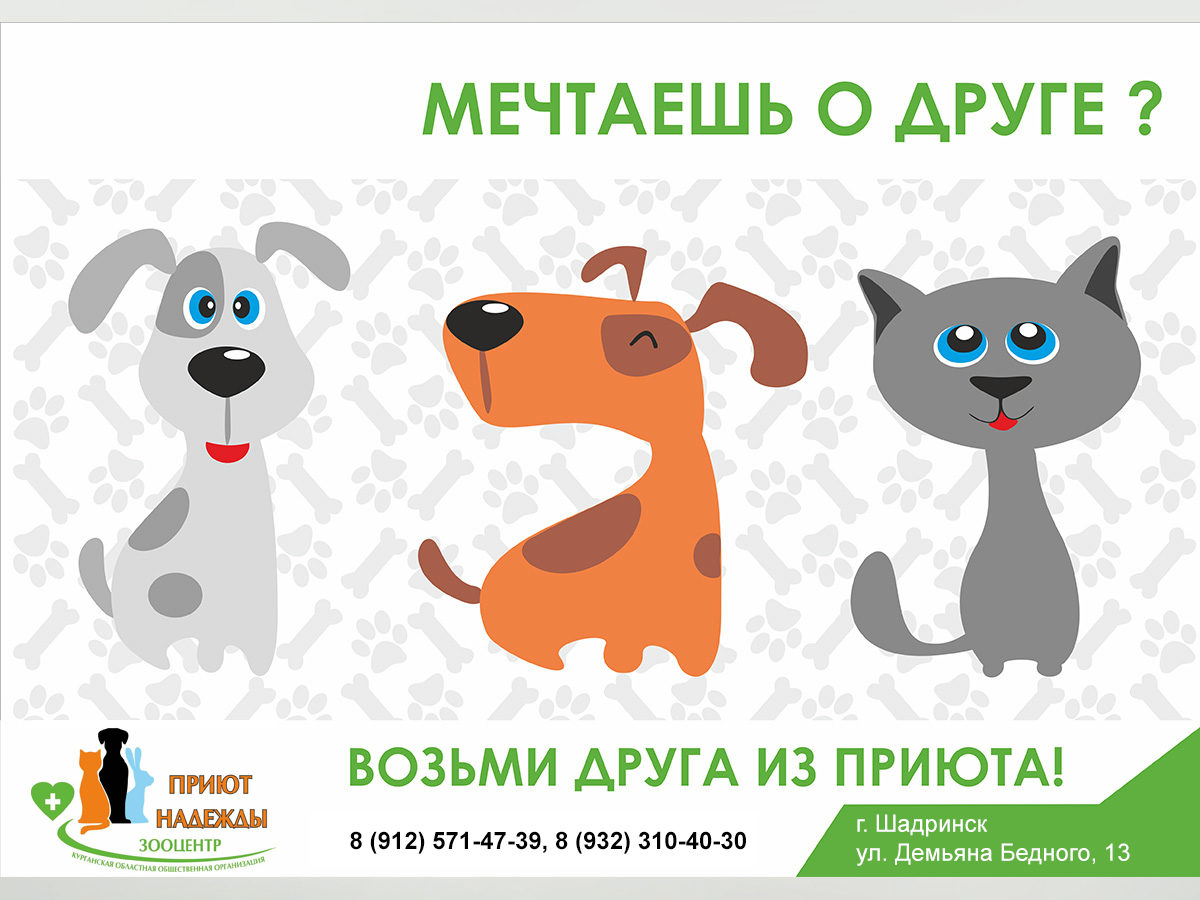 Социальный проект помощь бездомным животным Мы ждем Вас! - Зооцентр Приют Надежды